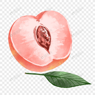 芭乐视频下载APP应用